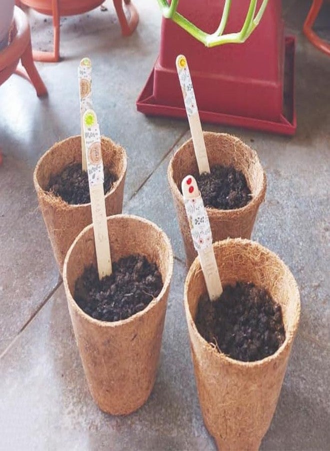 creste DIY Gardening Kit for Kids, Fun and Engaging Activity Kit for Kids Ages 3+ | Complete Beginner Gardener Kit with Coir Pith Pots for Planting - Image 2